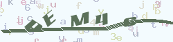 verify_code